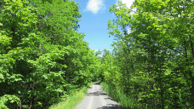 K&amp;P Murton Rd to Cataraqui Trail with deep sides and rockcut
